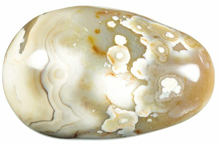 Colorful, Polished Agate Palm Stone - Madagascar #185861